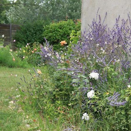 Des Pins 3* Mane (Alpes-de-Haute-Provence)