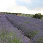 Des Pins 3* Mane (Alpes-de-Haute-Provence)
