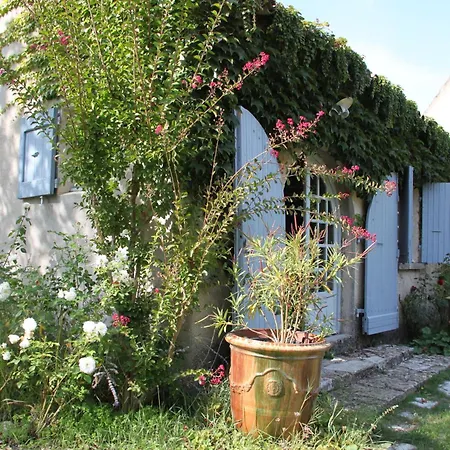 Des Pins Mane (Alpes-de-Haute-Provence)