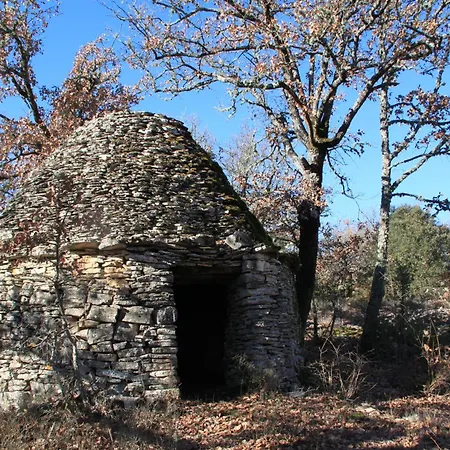 Des Pins Maison d'hôtes Mane (Alpes-de-Haute-Provence)