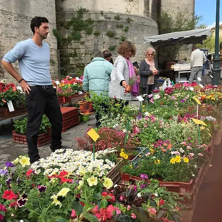 Maison d'hôtes Des Pins