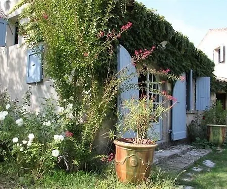 Guest house Des Pins Mane (Alpes-de-Haute-Provence)