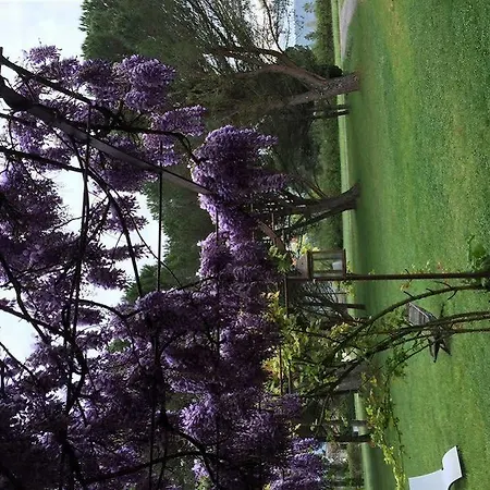 Maison d'hôtes Des Pins