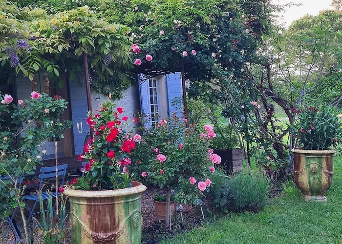 Des Pins Guest house Mane (Alpes-de-Haute-Provence)