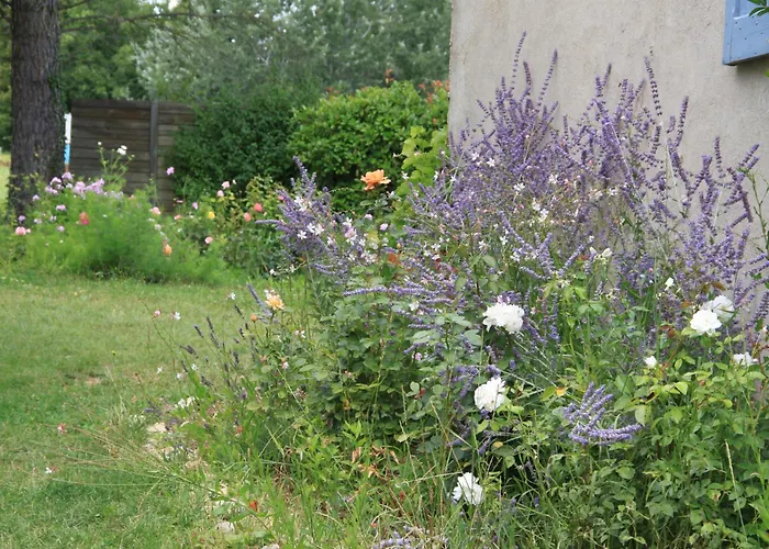 Des Pins 3* Mane (Alpes-de-Haute-Provence)