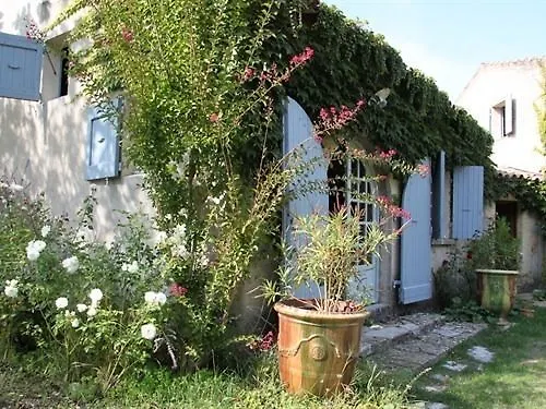 Guest house Des Pins Mane (Alpes-de-Haute-Provence)