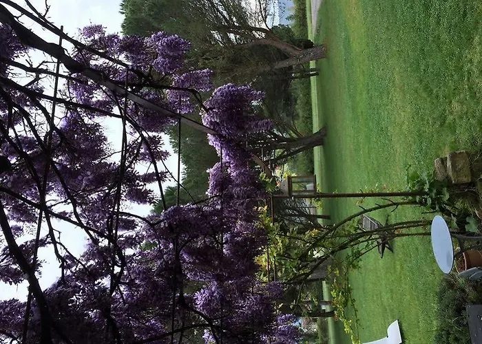 Guest house Des Pins